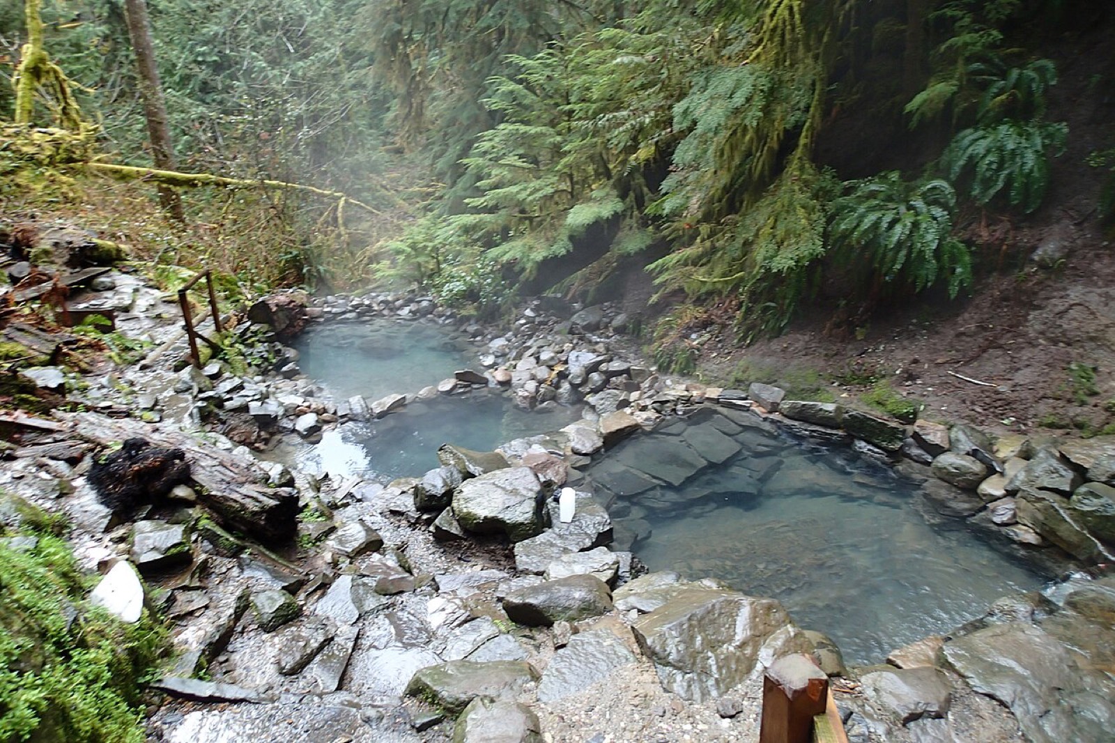 Terwilliger (Cougar) Hot Springs